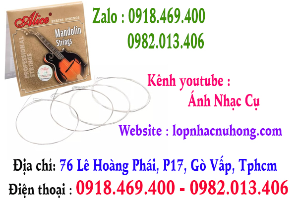 Địa chỉ thay dây đàn mandolin tại quận gò vấp, tphcm, sài gòn