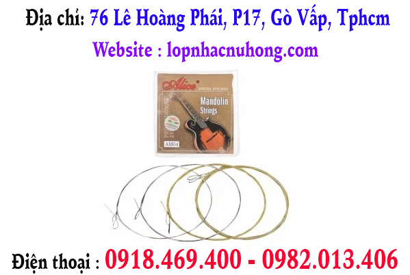 Địa chỉ thay dây đàn mandolin tại quận gò vấp, tphcm, sài gòn