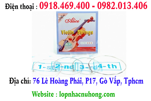 Chuyên thay dây đàn violin ( vĩ cầm ) tại gò vấp, tphcm, sài gòn