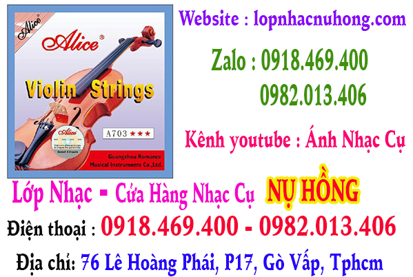 Chuyên thay dây đàn violin ( vĩ cầm ) tại gò vấp, tphcm, sài gòn