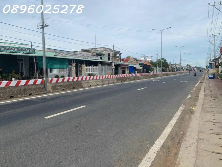 Bán đất thổ cư 248m² mặt tiền Tỉnh lộ 825D, Long Định, Cần Đước, Long An – 1.5 tỷ