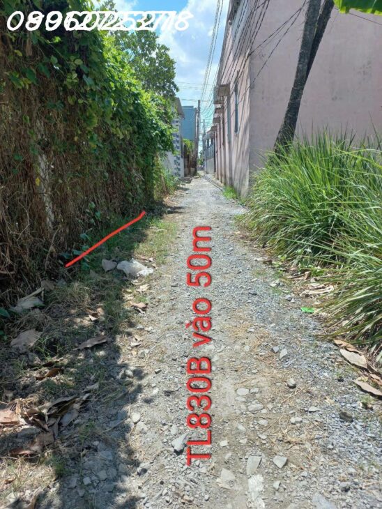 Đất đẹp Long Định, Cần Đước, 246m², giá tốt 1.55 tỷ, SHR, đầu tư sinh lời