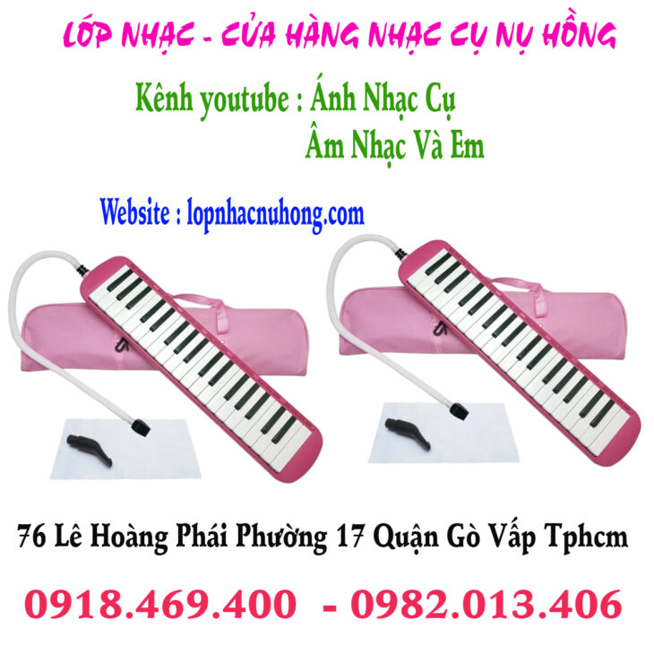 Kèn phím Melodica 32 phím học sinh nguyên bộ tại tphcm, gò vấp, sài gòn