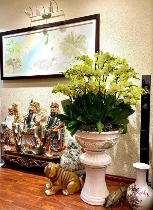 Bán Nhà MP KD – TT Thái Hà, Ô Tô, 53M – 17 Tỷ Hơn.