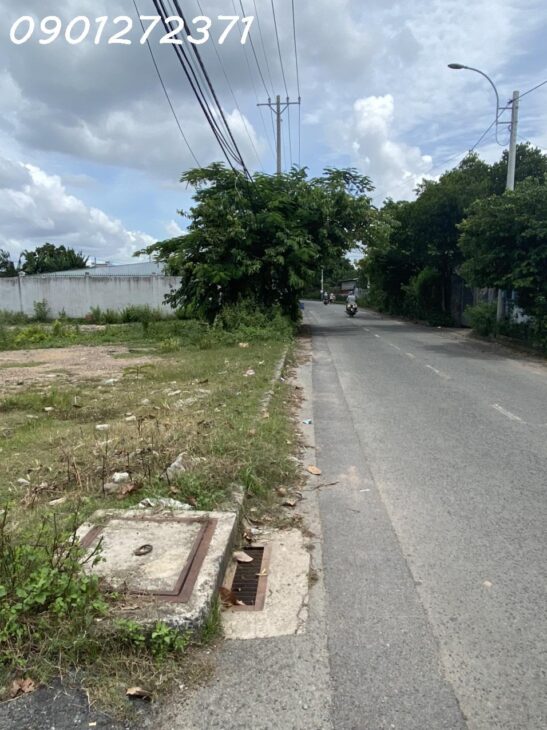 Bán nhanh đất 2 MT thổ cư 891m², gần chợ Xuân Thới Thượng và Bà Điểm, giá 23.5 tỷ, SHR