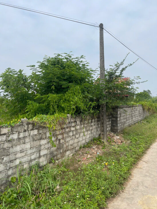 CƠ HỘI ĐẦU TƯ SINH LỜI CAO ĐẤT THUỘC THỊ XÃ CHŨ- BẮC GIANG- SỞ HỮU FARM DÒNG TIỀN ỔN ĐỊNH