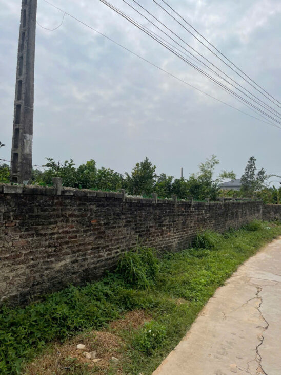 CƠ HỘI ĐẦU TƯ SINH LỜI CAO ĐẤT THUỘC THỊ XÃ CHŨ- BẮC GIANG- SỞ HỮU FARM DÒNG TIỀN ỔN ĐỊNH