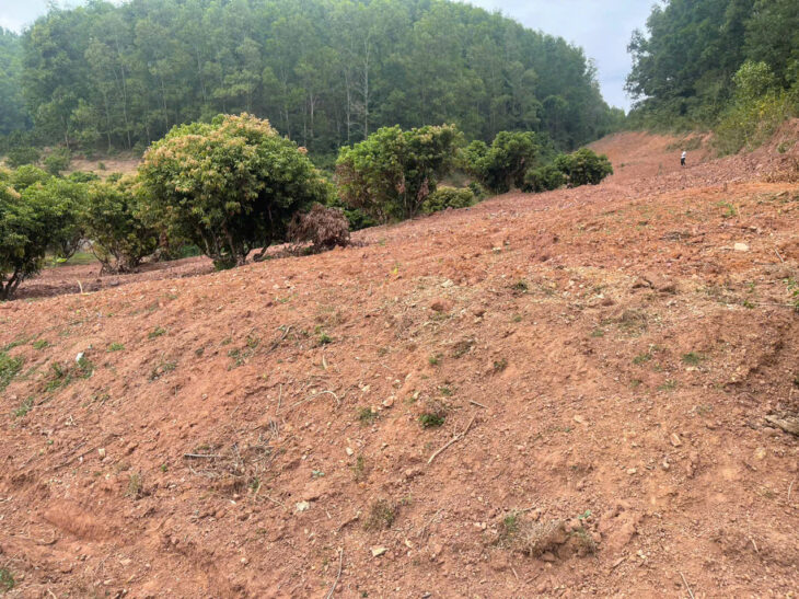 CƠ HỘI ĐẦU TƯ SINH LỜI CAO ĐẤT THUỘC THỊ XÃ CHŨ- BẮC GIANG- SỞ HỮU FARM DÒNG TIỀN ỔN ĐỊNH