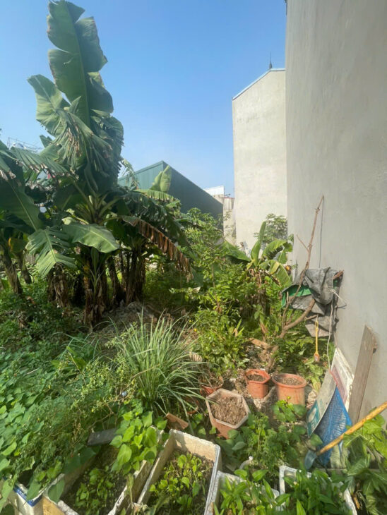 đất phú lương trinh lương 43,7m2 sổ vuông như bánh trưng kv đông dân cư đầy đủ tiện ích dân sinh