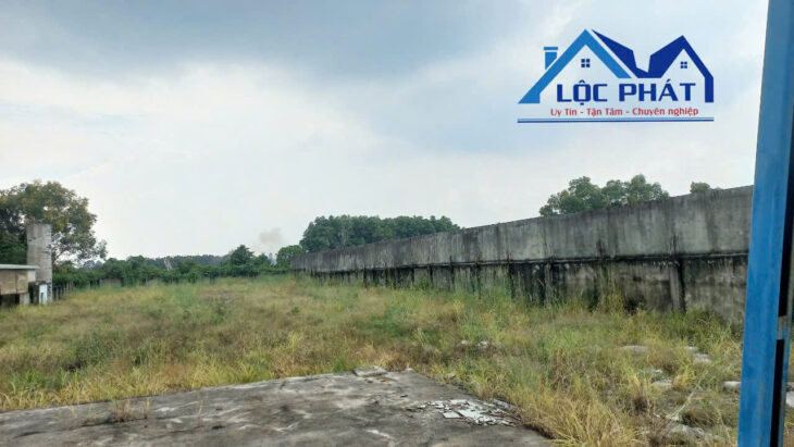 cho thuê đất trung tâm Biên Hòa 3000 m2 chỉ 40 triệu