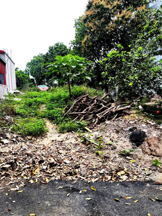 ĐẤT THỐNG NHẤT-LONG BIÊN, 100M2, MT 5M, 5.55 TỶ.Ô TÔ DỪNG ĐỖ.