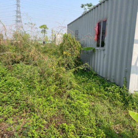 Bán đất Đức Thượng, 81m, mặt tiền 9m, ô tô đõ cửa, giá chào 4.1 tỷ