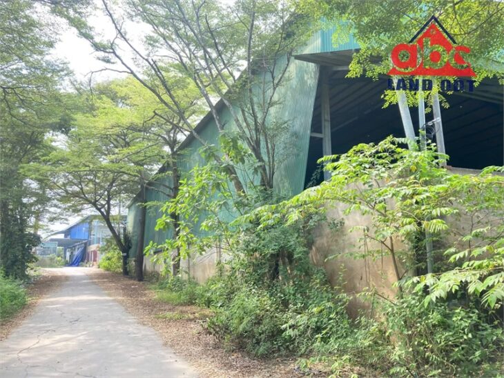 XT399 nhà xưởng cho thuê ngoài kcn, kết cấu kiên cố, an toàn sx lâu dài