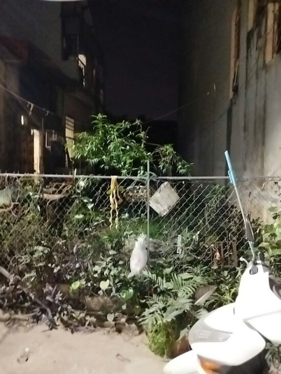 Bán gấp trong 3 ngày đất phân lô Đức Giang, dt 73m, giá công chứng 6.2 tỷ