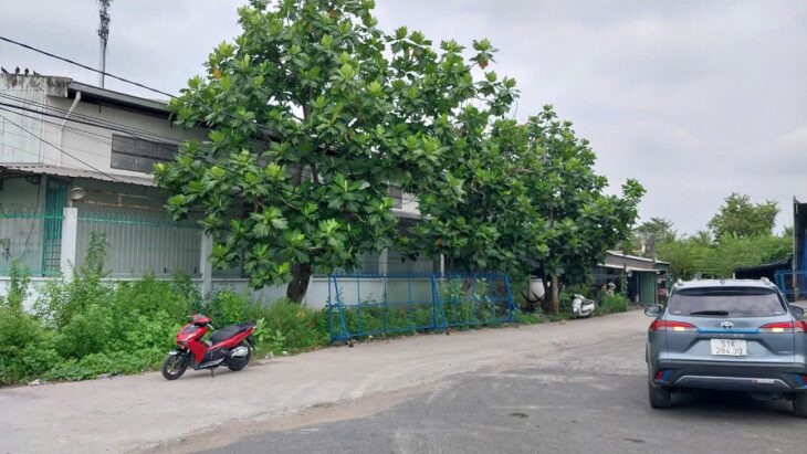BÁN NHÀ XƯỞNG TẠI THỊ TRẤN TÂN TÚC- BÌNH CHÁNH- TPHCM