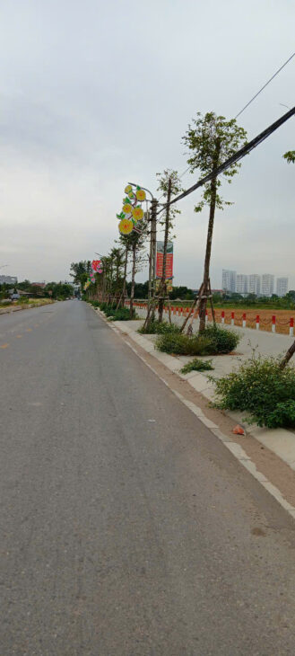 SIÊU PHẨM CỰC HÓT – 56m2 – CHÍNH CHỦ BÁN ĐẤT TÁI ĐỊNH CƯ MAI LÂM, ĐÔNG ANH, HÀ NỘI – GIÁ 7 TỶ