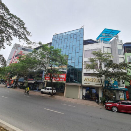 ⚜️ BIỆT THỰ MẶT PHỐ HOÀNG CẦU, ĐỐNG ĐA, 240M2 4T MT 8.5M, XÂY TÒA ĐỈNH, CHỈ 98 TỶ ⚜️