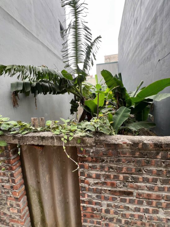 Bán đất Ngọc Thuỵ – Long Biên – Pháp lý chuẩn- 62m2 nhỉnh 5 tỷ ( Thương Lượng)