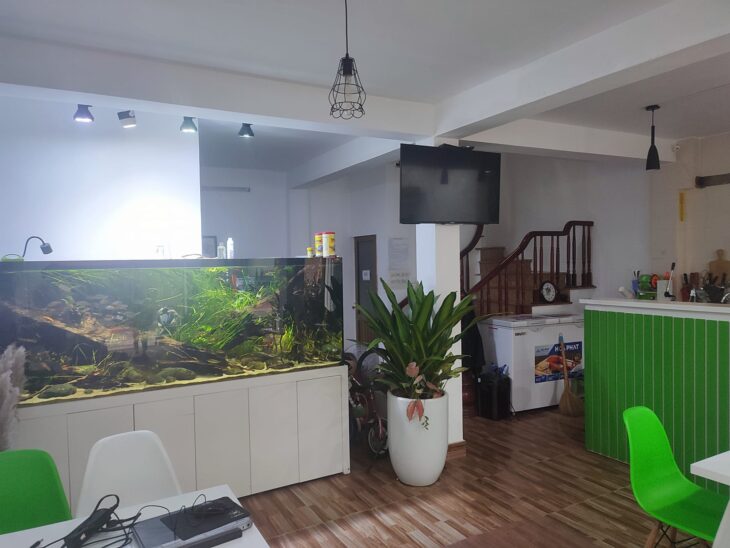 Bán nhà lô góc 176m² – mặt tiền hiếm Hiệp Phú – gần Xa Lộ Hà Nội – giá chỉ 10 tỷ tl
