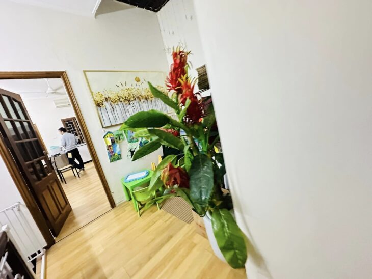 ???? PHÂN LÔ, VỈA HÈ, KD NGỤY NGƯ KON TUM, THANH XUÂN, 60M2 4T MT 4.5M, 18.2 TỶ ????