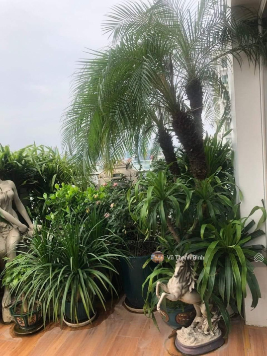 Cần bán gấp Căn hộ Duplex 4PN Cao cấp tại Golden Westlake Thụy Khuê_Tặng lại full nội thất 5 sao