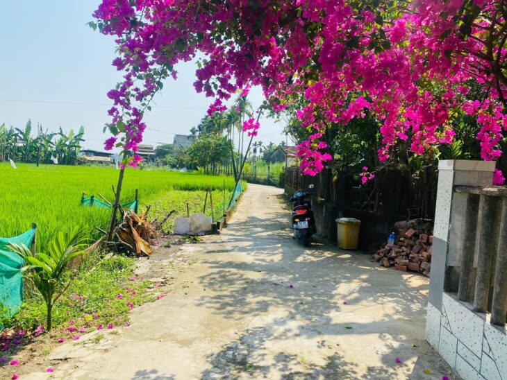 ĐẤT ĐẠI NGHĨA – ĐẠI LỘC GIÁ SIÊU TỐT – THÍCH HỢP LÀM NHÀ VƯỜN