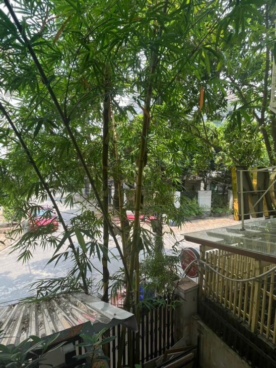 TRUNG TÂM VIỆT HƯNG -VỊ TRÍ ĐẸP – KINH DOANH – Ô TÔ TRÁNH