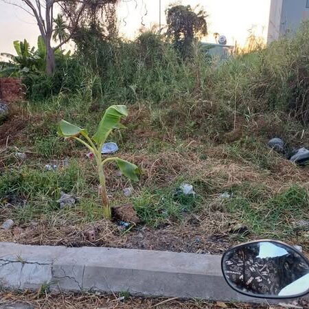💥💥Đất thổ cư lô góc 2 Mặt hẻm 1/đường THẠNH XUÂN 52, phường THẠNH XUÂN, Q12, dt 217m2 (15mx15m)