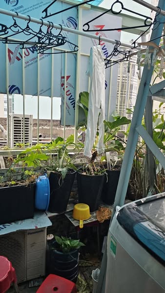 Nhà Đường Tô Hiến Thành Quận 10 Phường 13.