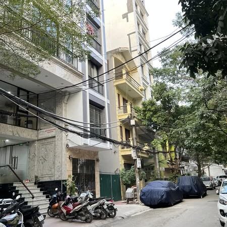 MẢNH ĐẤT ĐẸP-Ngõ 12 Đào Tấn (Linh Lang) 41m/ MT 8m – 109 Tỷ, ngõ thông, Ô tô đỗ MẢNH ĐẤT ĐẸP-Ngõ 12 Đào Tấn (Linh Lang) 41m/ MT 8m – 109 Tỷ, ngõ thông, Ô tô đỗ