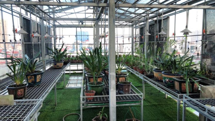 ???? TÒA VP 10 TẦNG MẶT PHỐ THƯỢNG ĐÌNH, THANH XUÂN, 55M2 MT 4.5M, 25.5 TỶ ????