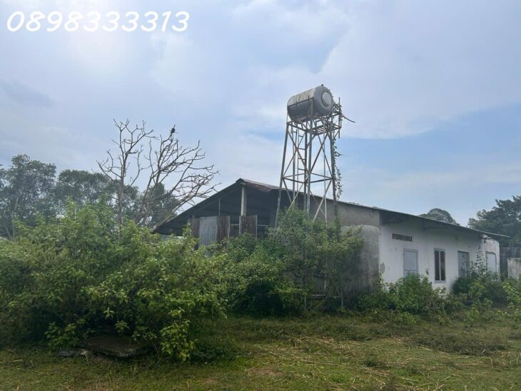Bán đất chính chủ An Điền 09, Bến Cát, Tp Bình Dương 11.000m2, chỉ 1,2tr/m2