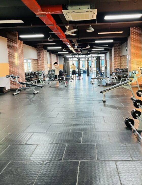 Bán Đất tặng Tòa Nhà 7 tầng 444m2 có 49,5 tỷ Lê Văn Khương Hiệp Thành Quận 12 Hồ Chí Minh