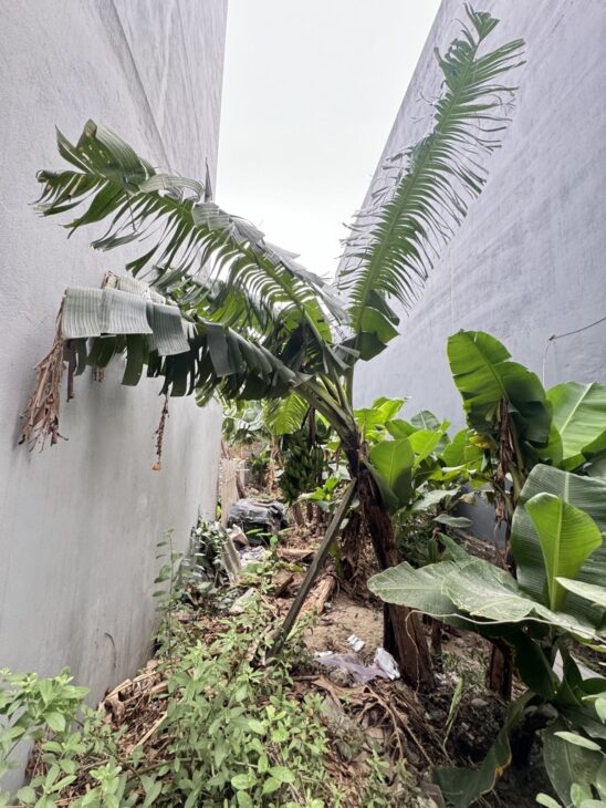 Bán đất Ngọc Thuỵ – Long Biên – Pháp lý chuẩn- 62m2 nhỉnh 5 tỷ ( Thương Lượng)