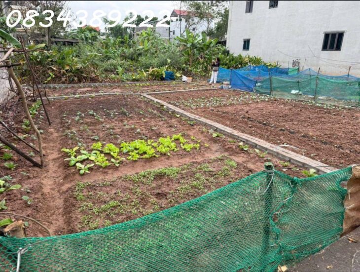 Đất rẻ, ngay sát Hà đông, Cao Viên Thạch Bích Diện tích 40m2, mặt tiền 4,5m giá 1,4 tỷ