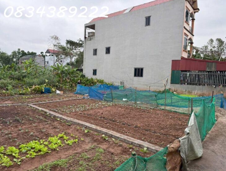 Đất rẻ, ngay sát Hà đông, Cao Viên Thạch Bích Diện tích 40m2, mặt tiền 4,5m giá 1,4 tỷ