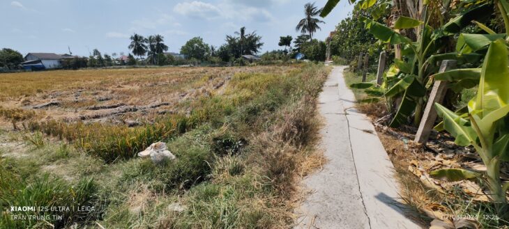 Bán lô đất thổ lúa đường huyện Bình Hòa giá 3,5 tỷ