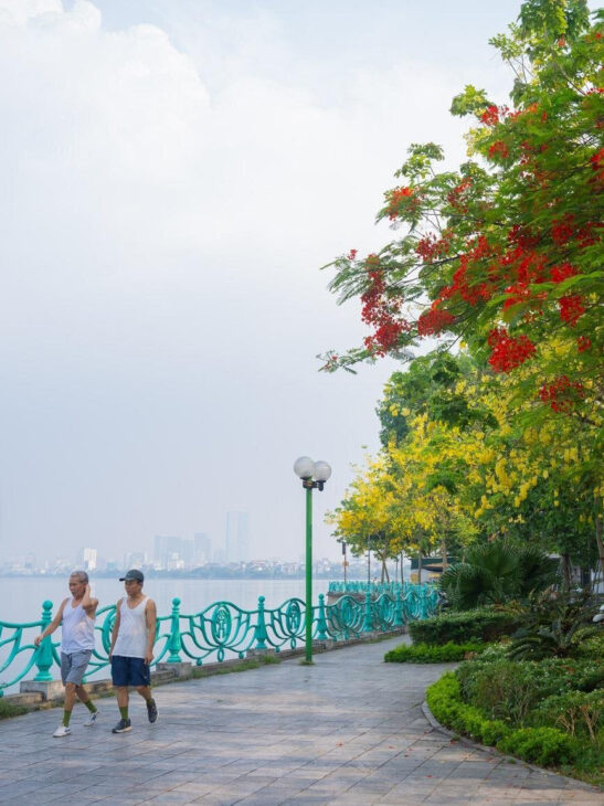 Cực Hiếm nhà Q19 Võng Thị VIP Đẳng Cấp 8.2 tỷ không có Căn Thứ 2