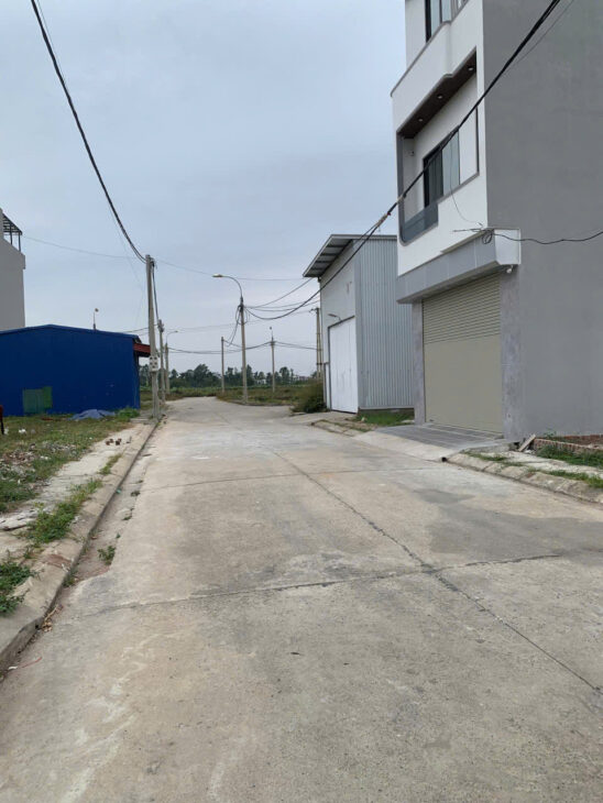 BÁN ĐẤU GIÁ SƠN DU NGUYÊN KHÊ 8X