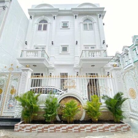Cần bán biệt thự mini gần khu Amelie full thiết kế bên trong cao cấp giá thấp