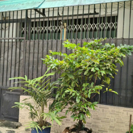 chỉ 2,58 tỉ, nhà sổ hồng riêng hẻm xe hơi tránh nhau, 5p qua siêu thị Nhật Aeon Tân Phú, sẵn hợp