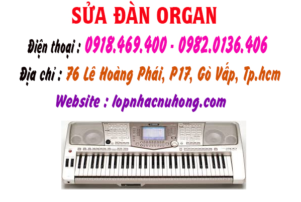 Địa chỉ nơi sửa đàn organ chuyên nghiệp, uy tín, chất lượng tại gò vấp, tphcm, sài gòn