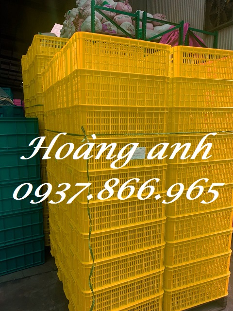 Đại lý bán sọt nhựa công nghiệp, sọt nhựa,khay nhựa rỗng, khay cao 19, khay nhựa