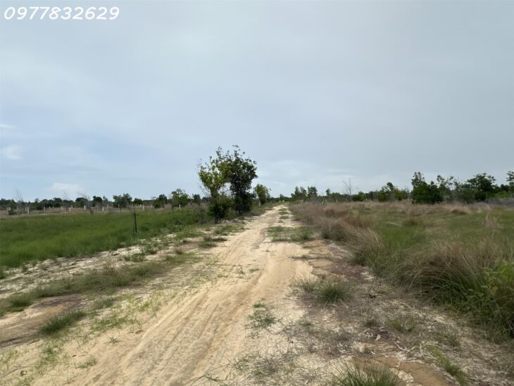 GIẢM 50% bán 1000m2 đất ONT Tân Bình – TX LaGi chỉ 1.6 tỷ gần Biển, SỔ RIÊNG