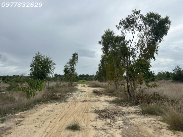 GIẢM 50% bán 1000m2 đất ONT Tân Bình – TX LaGi chỉ 1.6 tỷ gần Biển, SỔ RIÊNG