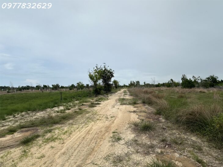 GIẢM 50% bán 1000m2 đất ONT Tân Bình – TX LaGi chỉ 1.6 tỷ gần Biển, SỔ RIÊNG