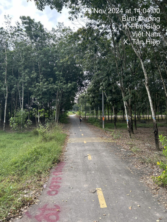 CHÍNH CHỦ CẦN BÁN GẤP LÔ ĐẤT Ở TÂN HIỆP, PHÚ GIÁO, TỈNH BÌNH DƯƠNG