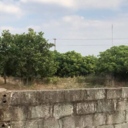 Bán gấp đất đẹp TDP Kép 2A, phường Hồng Giang,giá từ 6xx triệu, trung tâm thị xã Chũ