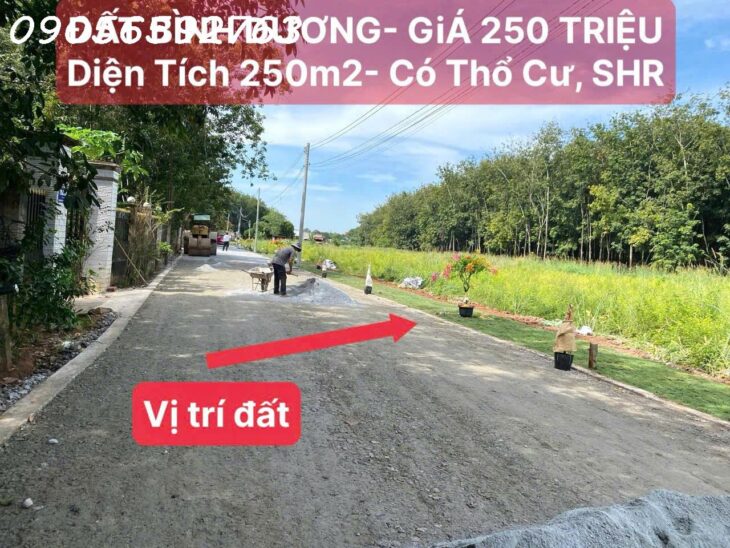 BÁN GẤP ĐẤT TÂN LONG – PHÚ GIÁO – BÀU BÀNG – 300Triệu – Công chứng ngay