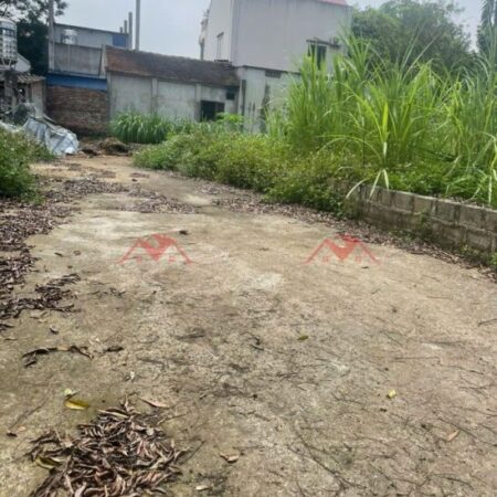 GIÁ 1,360 TỶ ĐẤT TẠI ĐÔNG SƠN-CHƯƠNG MỸ D/T:65,7M